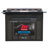 MOTOMASTER Group Size 46A24L Battery, 320 CCA