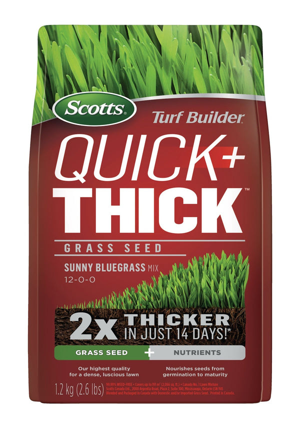 Scotts Turf Builder Quick + Thick Grass Seed Sunny Bluegrass Mix, 12-0-0, 1.2-kg Z1